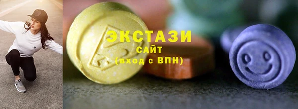 стаф Бородино
