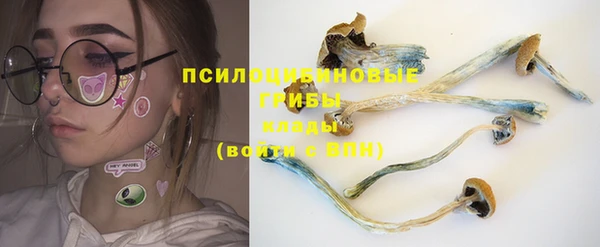 винт Бронницы