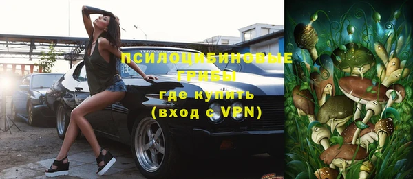 ешки Богородицк